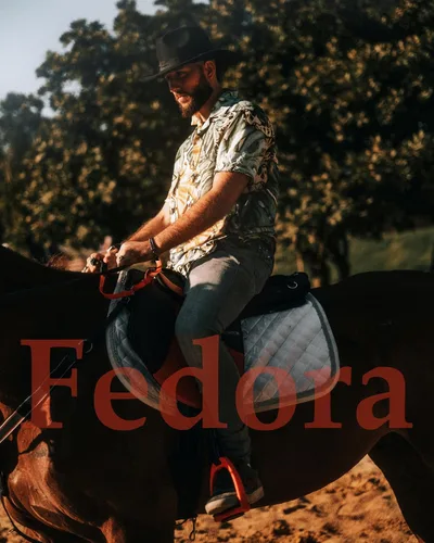 Vista 2 de thuizen Sombrero de vaquero enrollado con corona Fedora moderna para hombre