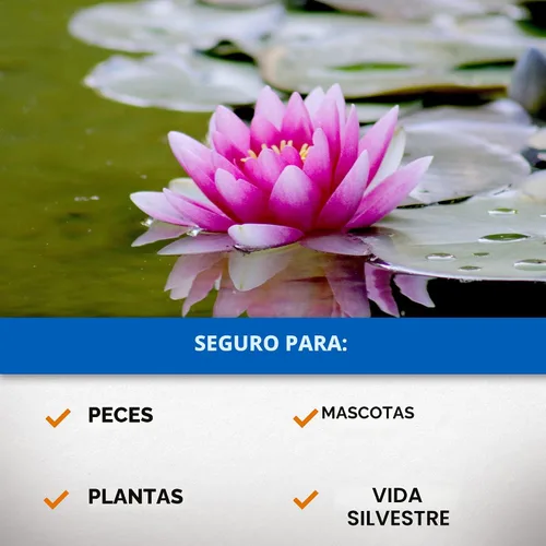 Vista 4 de CrystalClear Algae D-Solv - Alguicida de acción rápida registrado por la EPA, control de algas para fuentes y estanques al aire libre con koi