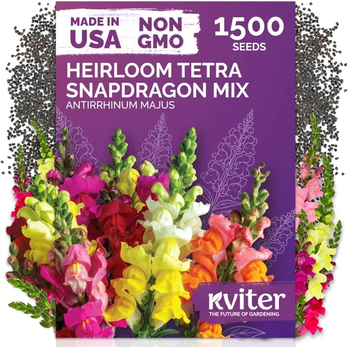Vista 26 de KVITER 15,000 semillas de rosa musgo mixta para plantar (Portulaca grandiflora) – Cubierta de suelo con floración de reliquia, semilla de Portulaca