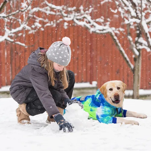 Vista 6 de Sudadera con capucha para perros de invierno para perros grandes y medianos, sudadera con capucha de 5 patas, sudadera con capucha de forro polar
