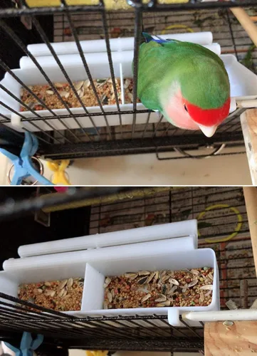 Vista 8 de Comedero para pájaros, dispensador de agua de semillas de plástico para loros, cacatúas, palomas, gorriones con 2 cucharas para pájaros Seed Water