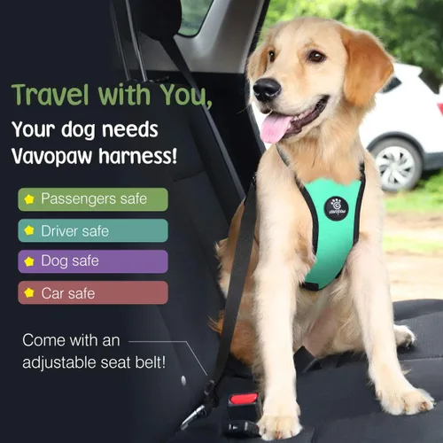 Vista 19 de VavoPaw Cinturón de Seguridad para Perros, Chaleco de Seguridad Arnés para Perros para Automóvil con Hebilla Ajustable Cinturón de Seguridad