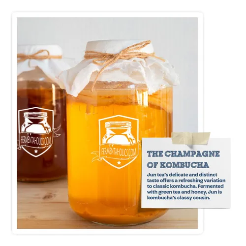 Vista 2 de Kit de iniciación Jun Kombucha de 1 galón – Incluye USDA Organic Jun SCOBY & Starter Tea + ingredientes para empezar a preparar tu propio té jun. *