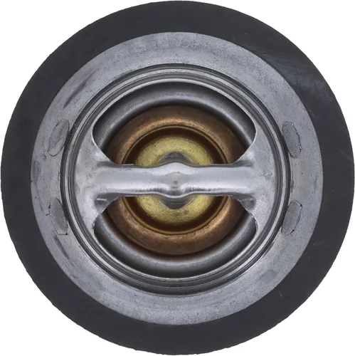 Vista 4 de MotoRad Termostato tipo OE (13899), acero inoxidable