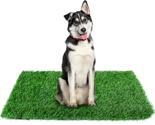 Vista 10 de GLOBREEN Almohadilla de Césped Falso para Perros Potty, 19" x 29" Almohadillas de Césped Artificial para Mascotas Cachorros, Gruesas y de Alto