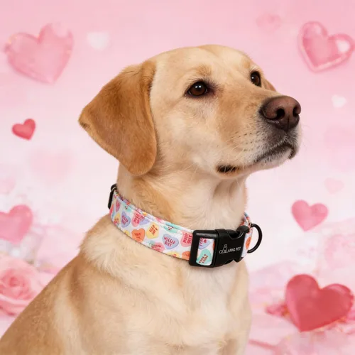 Vista 273 de Aring Pet Collar de algodón, ligero y ajustable, con hebilla de liberación rápida, para perros pequeños, medianos y grandes, para cachorros, S, Hoja