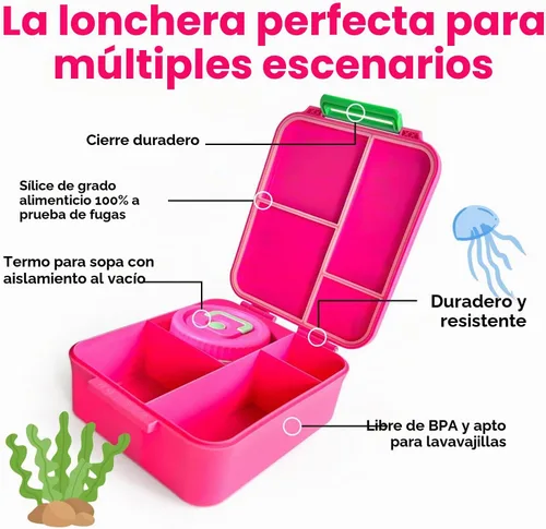 Vista 4 de Kidz Bento - Lonchera con termo de sopa, 4 compartimentos, a prueba de fugas, tarro de comida aislado para viajes, picnic