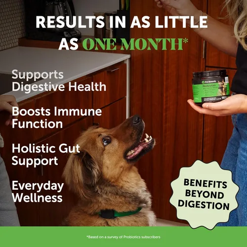 Vista 2 de Probióticos digestivos para perros + suplemento multivitamínico suave 10 en 1 para masticar paquete virtual – Vitaminas para perros, probióticos