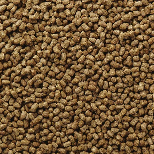 Vista 6 de Mazuri Comida de dragón barbudo - Porción de insectos de una dieta completa Bolsa de 8 onzas (8 onzas)