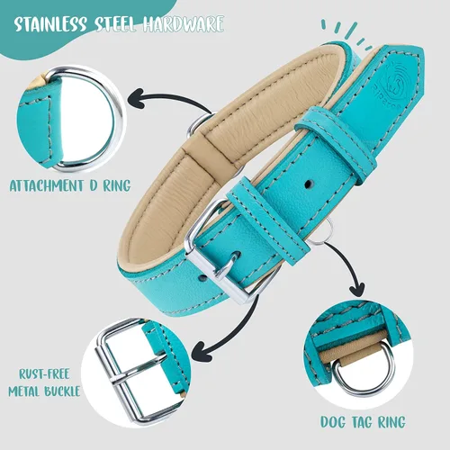 Vista 4 de Riparo Collar de perro de cuero ajustable – Collar de perro ancho resistente para perros pequeños, medianos, grandes y extra grandes con soporte Agua