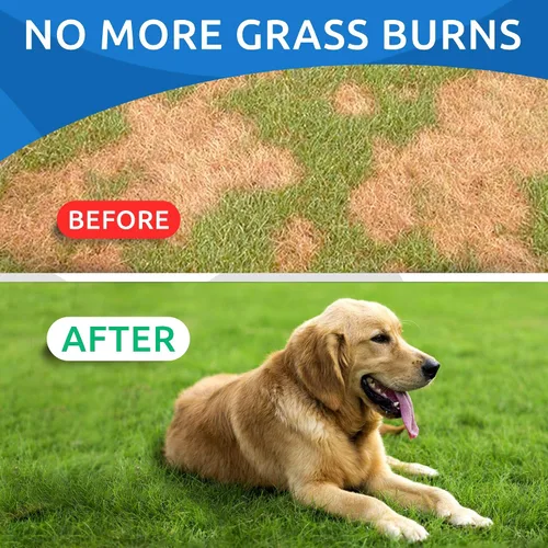 Vista 2 de BARK&SPARK Masticables totalmente naturales para quemar hierba para perros, protector de manchas de césped para orina, golosinas para restaurar