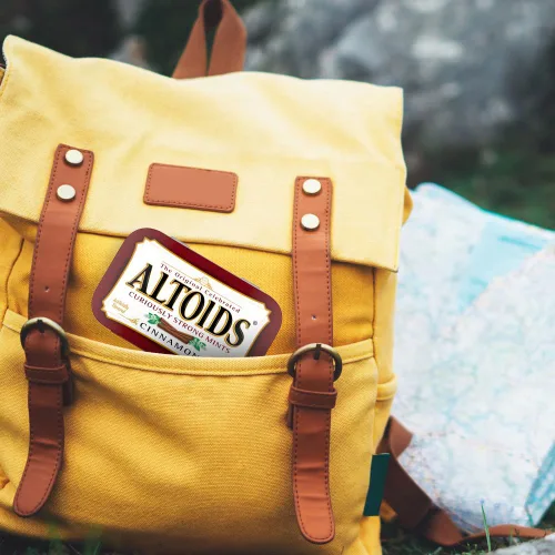 Vista 5 de ALTOIDS - Pastillas de menta duras de canela clásicas en masa, lata de 1.76 oz (paquete de 12)