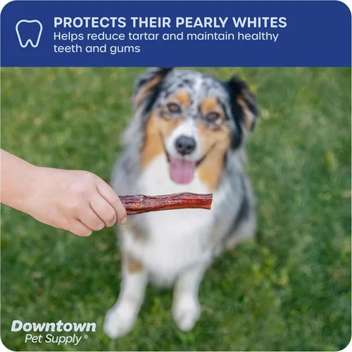 Vista 6 de Downtown Pet Supply Palitos masticables de 6 pulgadas hechos en Estados Unidos para perros, 0.5 libras, masticables para perros sin ocultar de larga