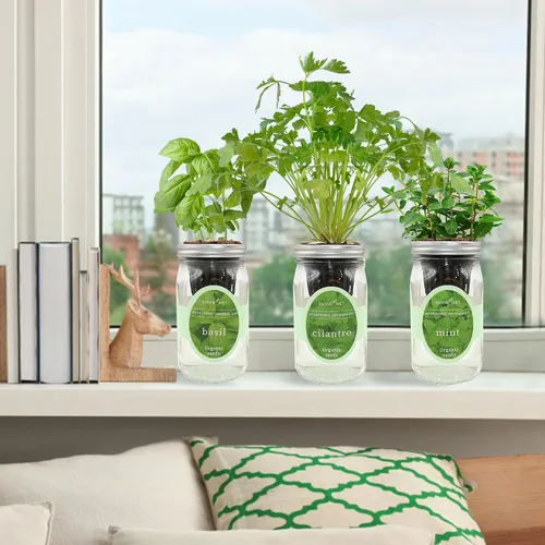 Vista 4 de Kit de cultivo de hierbas hidropónicas, tarro de masón de riego automático para jardín, kit de inicio de jardín de hierbas para interiores, jardín