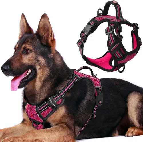 Vista 60 de BARKBAY Arnés Oxford sin tirones para perro con bolsillo para etiqueta de identificación, resistente, reflectante, fácil control para perros grandes