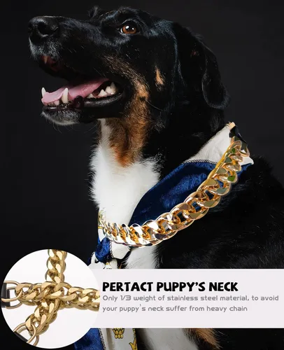 Vista 9 de Collar de perro de cadena dorada – Collar de perro de eslabones cubanos de metal de 7/8 pulgadas de ancho con cinturón de cuero, ligero protege