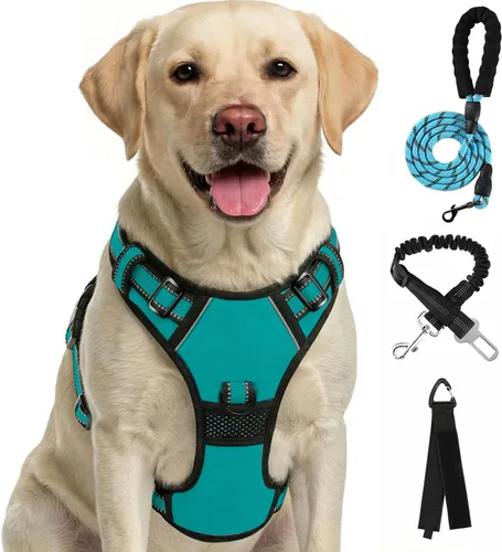 Vista 9 de FURRYFECTION Arnés a cuadros para perros pequeños, chaleco reflectante ajustable sin tirones para mascotas con clip frontal, correa, asa de fácil