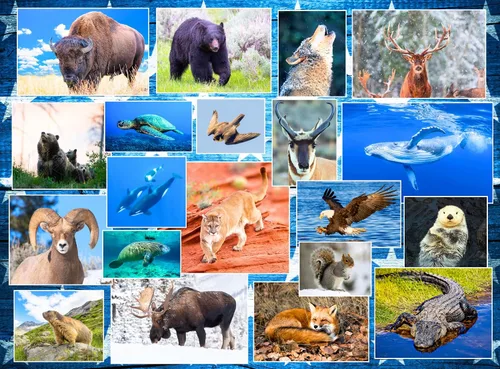 Vista 15 de Nuestros Parques Nacionales Rompecabezas de 100 Piezas - Rompecabezas de Parques Nacionales de EE. UU. para Niños, con Acadia, Yellowstone, Zion