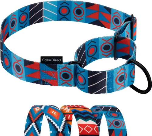 Vista 13 de CollarDirect Martingale - Collar de nailon resistente para perros pequeños, medianos y grandes [nailon, estampado, aguamarina, L, 15-20 pulgadas)