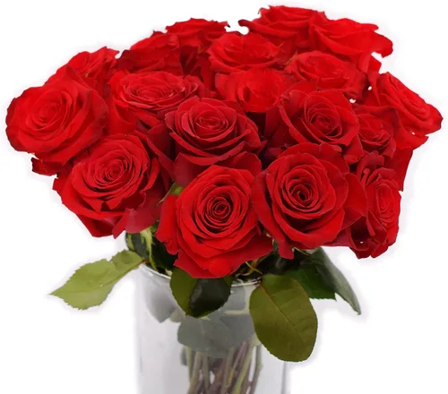 Vista 8 de Greenchoice Flowers - Rosas Rosa encendido