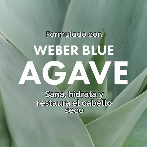 Vista 7 de Agave Healing Oil Tratamiento, aceite suavizante para el cabello, 2 onzas
