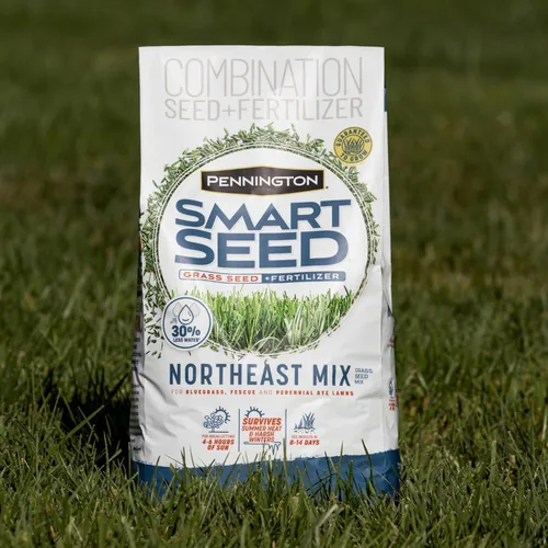 Vista 13 de Pennington Smart Seed - Mezcla de semillas para césped del noreste, 20 libras