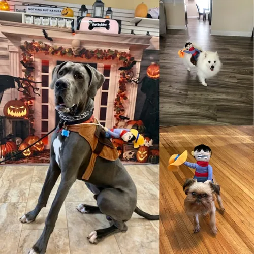 Vista 6 de iSmarten Disfraz de mascota para perro, traje para mascotas, traje de vaquero estilo jinete con muñeca y sombrero, disfraz para mascotas (S)