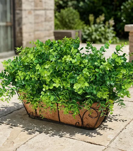 Vista 16 de Tallos de cedro artificiales Ivydale, ramas de pino Norfolk artificiales para decoración de Navidad, 12 tallos de pino falsos con 2 ramas de conos