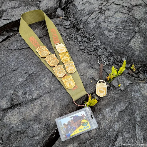 Vista 2 de National Park Junior Ranger - Cordón de exhibición con tubo de almacenamiento, organizador de aventura para insignias, alfileres y parches, diseñado