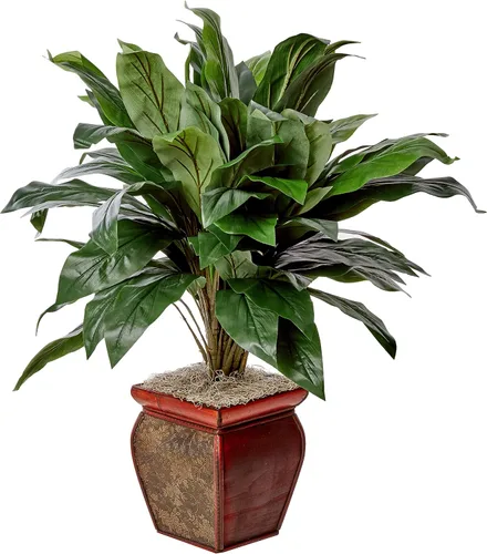 Vista 4 de Casi Natural 6580 Cordyline la seda Planta Real Touch, 5-Feet, Verde