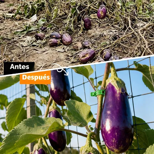 Vista 6 de 100 piezas de clips para tomate para plantas trepadoras, clips de soporte de planta de enrejado de plástico para jardín, clips reutilizables