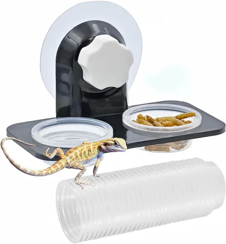Vista 8 de Repisa de alimentación de Gecko con cresta [ventosa], con 10 tazas de acero inoxidable para alimentos de 0.5 onzas, cuencos de comida para reptiles