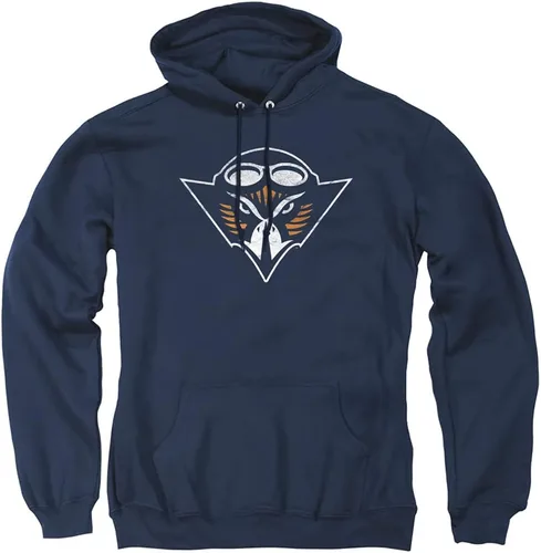 Vista 24 de Distressed College Primary Logo Adult Pullover Hoodie Collection 1 Universidad Estatal de Albany