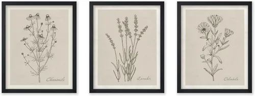 Vista 29 de Poster Master Póster botánico vintage de 3 piezas, estampado floral retro, regalo para artistas, amigos, flores de acuarela, brillante, azul