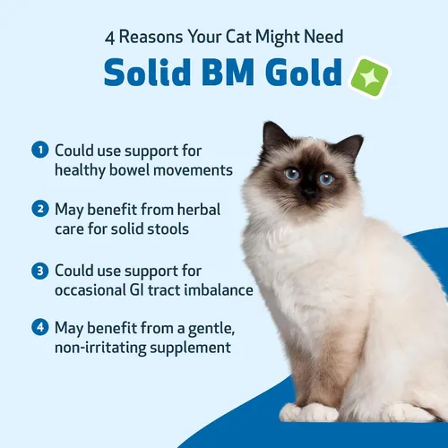 Vista 3 de Pet Wellbeing Solid BM Gold para gatos – Apoya la función digestiva saludable, heces sólidas, movimientos intestinales normales, bayberry