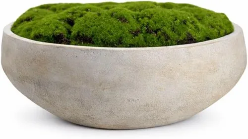 Vista 8 de Cuenco de musgo de cemento pintado a mano, 8 pulgadas, centro de mesa de musgo artificial, cuenco decorativo para mesa de café