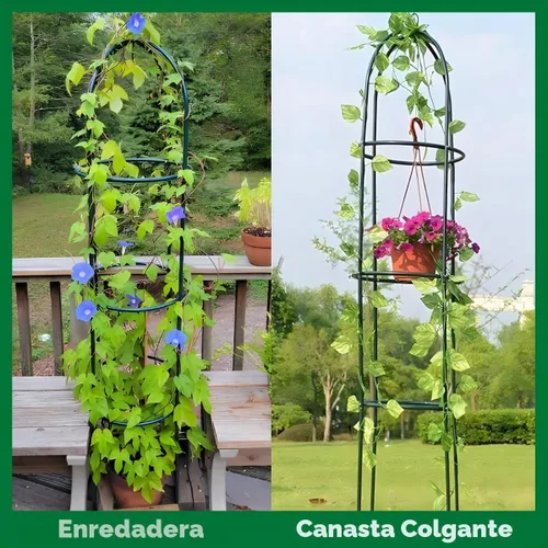 Vista 5 de Soporte para plantas y flores trepadoras de jardín
