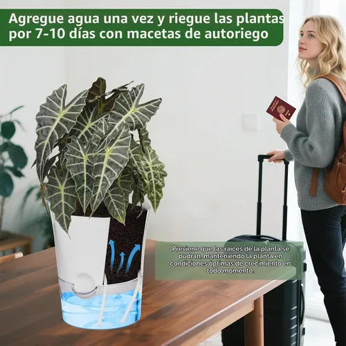 Vista 6 de Macetas de Riego Automático KIMCHOMERSE, Macetas de 6 Pulgadas para Orquídeas, Pack de 3 Macetas para Flores, Macetas para Plantas