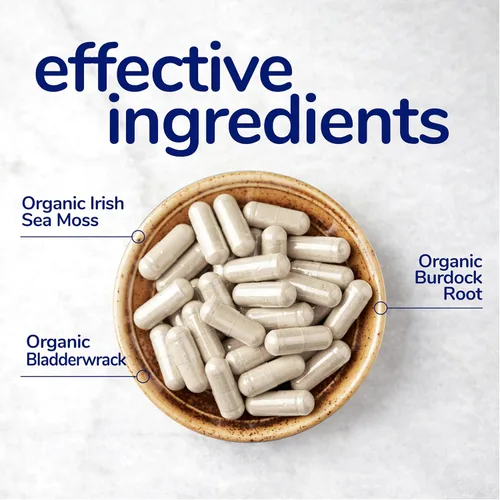 Vista 5 de Her Own Cápsulas de musgo marino irlandés, raíz de bardana, vejiga, desintoxicación, metabolismo, apoyo inmunológico, salud de la piel, apoyo