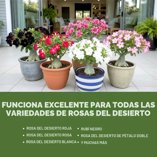 Vista 5 de Fertilizante de rosa del desierto, alimento líquido para plantas para más