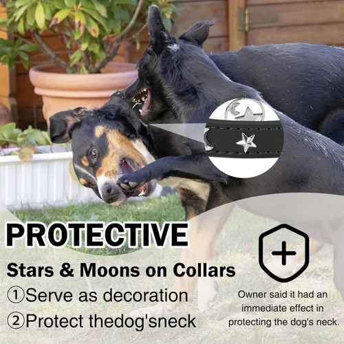 Vista 2 de Collar de cuero para perros pequeños, collar suave y ajustable con remaches de estrella y luna para perros machos y hembras, collares para cachorros