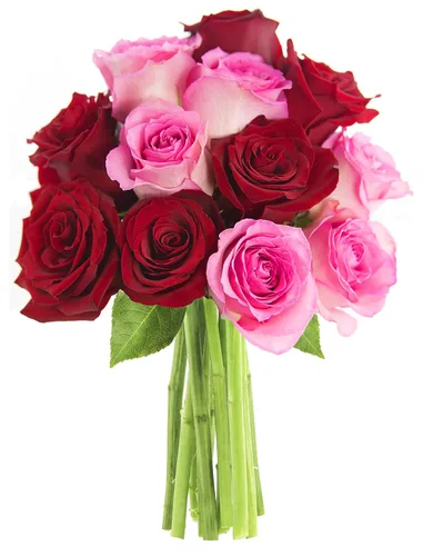 Vista 19 de KaBloom Prime Next Day Delivery: Colección Himalaya – Tranquila fresca cortada 24 rosas surtidas regalo para cumpleaños, condolencias, aniversario