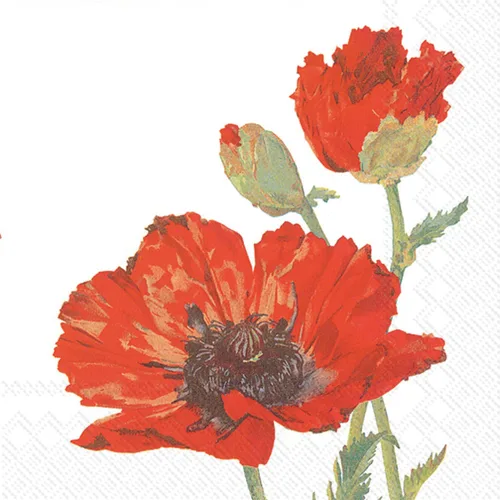Vista 2 de Celebrate the Home - Servilletas florales de papel de 3 capas, flores, 20