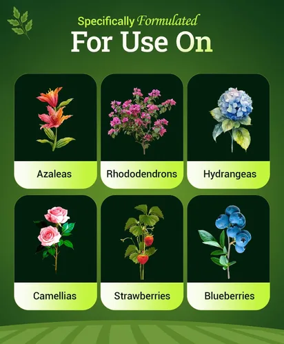 Vista 5 de FoxFarm Happy Frog Fertilizante para plantas amantes del ácido – Fertilizante de liberación lenta para azaleas, rododendros, arándanos y más