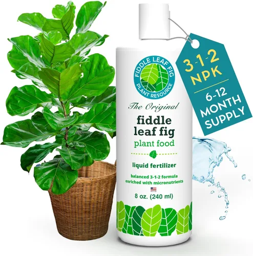 Vista 8 de Fiddle Leaf Fig Plant Food – Fertilizante líquido equilibrado NPK 3-1-2 para hojas más grandes, raíces más fuertes y crecimiento constante