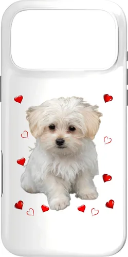 Vista 21 de Funda para iPhone 11 Maltipoo Mix Fans para amantes de los perros maltés