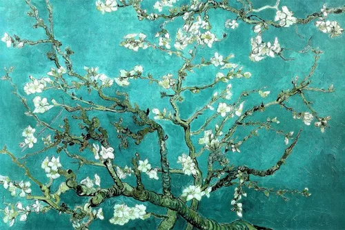 Vista 62 de Póster de “La noche estrellada” (1889) de Vincent Van Gogh, 18 x 12 pulgadas Ramas de flor de almendro 9897