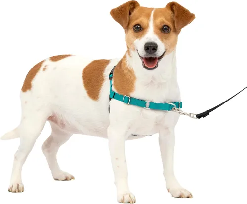Vista 48 de PetSafe Easy Walk - Arnés para perro, sin tirones, gris carbón Carbón/Negro