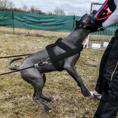 Vista 4 de Forestpaw Arnés de perro resistente sin tirones para entrenamiento, chaleco táctico con 3 anillos de metal, arnés acolchado suave para perros