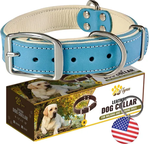 Vista 15 de ADITYNA Collar de perro de cuero negro resistente para perros pequeños, acolchado suave para mayor comodidad, collar de perro pequeño para caminar